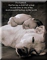sleepingchild.jpg