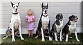 untitled-7.jpg