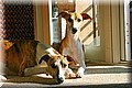 w.jpg