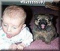 whazzup.jpg