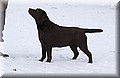 2008.03.04