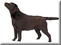 2008.03.04