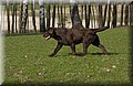 2008.04.15
