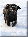 2009.01.04