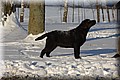 2009.01.04