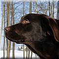 2009.02.16