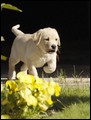2008.06.01