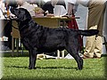 DSC_2133333.jpg