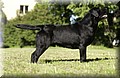 DSC_3025.JPG