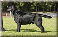 DSC_3073.JPG