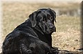 DSC_3944.JPG