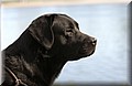 DSC_4342.JPG