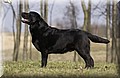 DSC_5139.JPG