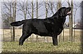 DSC_5239.JPG