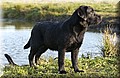DSC_5317.JPG