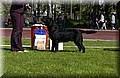 DSC_5595.JPG
