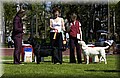 DSC_5599.JPG