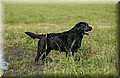 DSC_8192.JPG