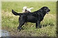 DSC_8246.JPG