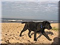 Picture 033.jpg