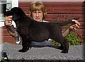 pollo_8weeks (Large).jpg