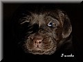 DSC_157588.jpg