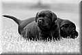 DSC_191288.jpg