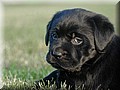 DSC_427888.jpg