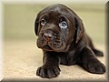 DSC_2701888.JPG