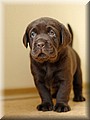 DSC_2712666.jpg