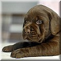 DSC_3502333.jpg