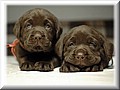 DSC_3628666.JPG