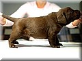 DSC_3778444.JPG