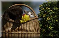 DSC_0216.JPG