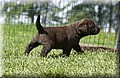 DSC_9538.JPG