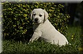 DSC_0008.JPG