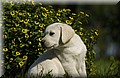 DSC_0015.JPG