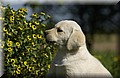 DSC_0136.JPG