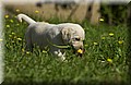 DSC_0152.JPG