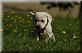 DSC_0155.JPG