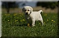 DSC_0193.JPG