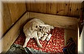 DSC_7140.JPG