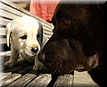 DSC_7959w.jpg