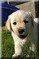 DSC_9061111.jpg