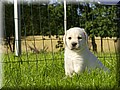 DSC_90788888.jpg