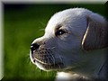 DSC_917444.jpg