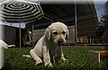 DSC_9581.JPG