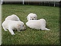 PICT0256.JPG