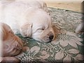 PICT0270.JPG