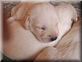 PICT0271.JPG